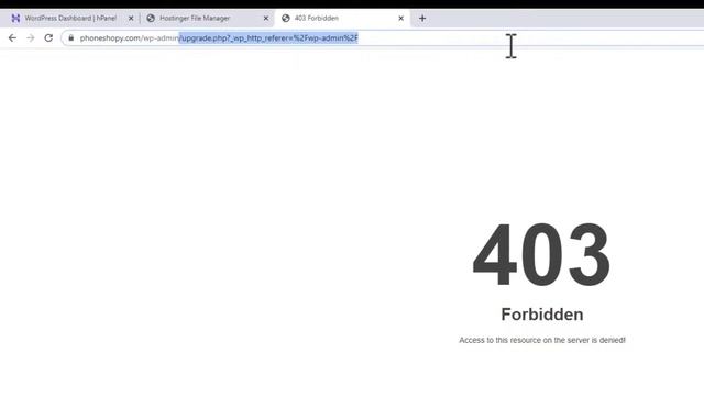 There has been some critical error on this website & 403 Forbidden–Server Access Denied. How to Fix смотреть онлайн