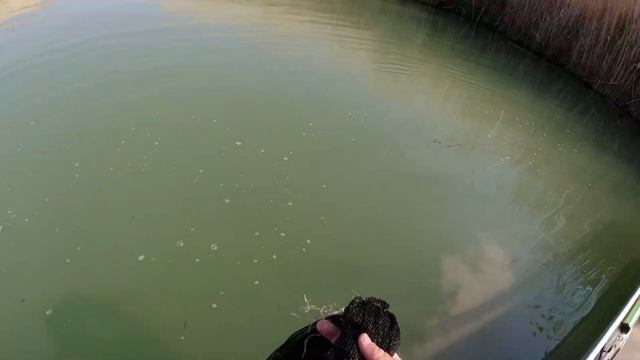 Как правильно закармливать яму для сазана смотреть онлайн