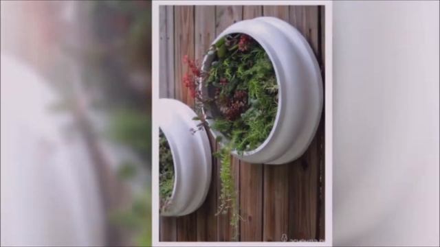 Суккуленты в интерьере квартиры. Идеи для дома и дачи. Два М.К. по созданию "живых картин".. смотреть онлайн