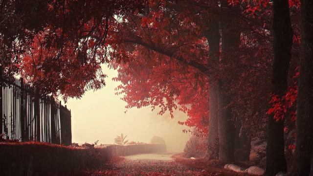 Silencyde - Until Fall смотреть онлайн