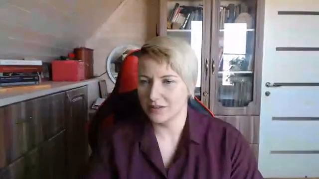 Собака гоняет кота или что делать с охотничьим инстинктом собак. смотреть онлайн