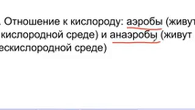 Прокариотическая клетка смотреть онлайн