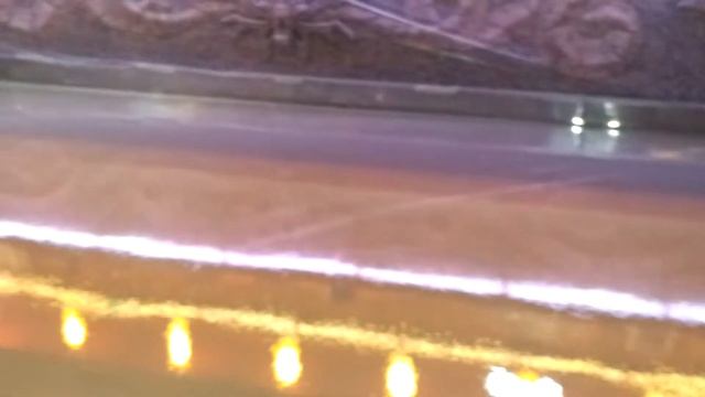 CLUB IMPREZA STAVROPOL 2013(2)