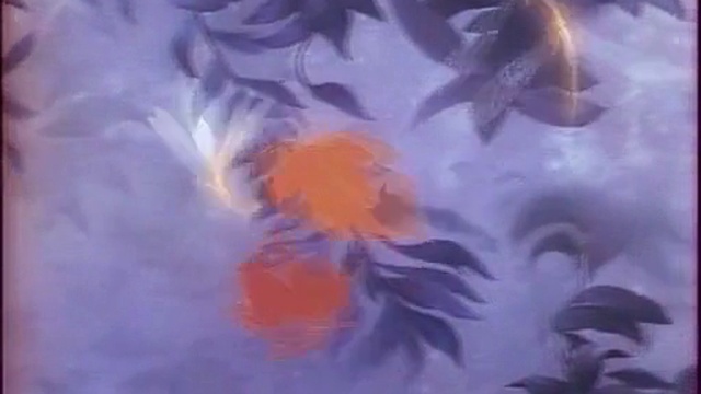 Disney Dimanche - Emission Du 1981-11-22 - LPDM