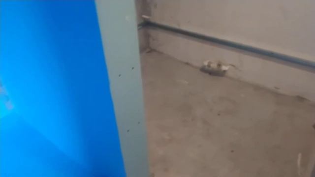 Гидооизоляция КНАУФ Флехендихт и Гидроизоляционная лента КНАУФ - Флехендихтбанд смотреть онлайн