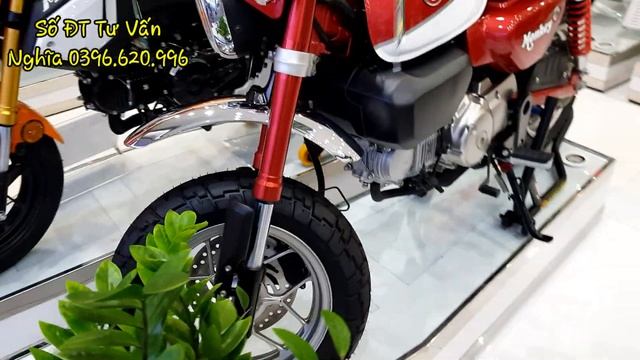 Cập Nhật Giá Xe Nhập Khẩu,CB300R,CB150R,Supper Cup C125,Monkey,MSX,Thời Điểm Cuối Tháng 6.HỒNG ĐỨC1 смотреть онлайн