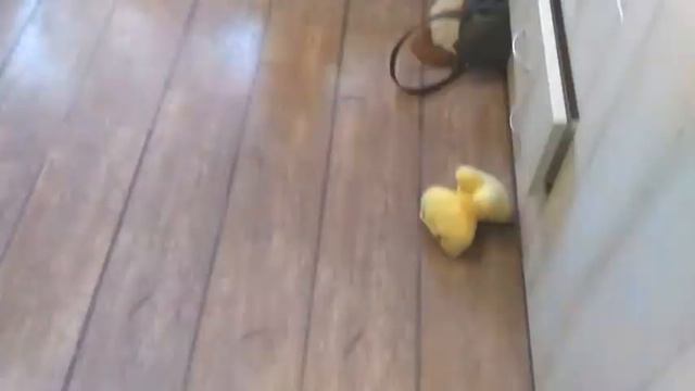 Видео наоборот смотреть онлайн