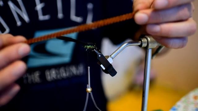 жук на голавля