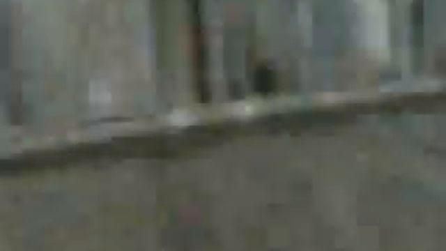Смешное видео MusVid net смотреть онлайн