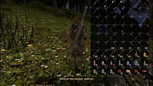 StrongHand mod Gothic 2 (RUS) смотреть онлайн