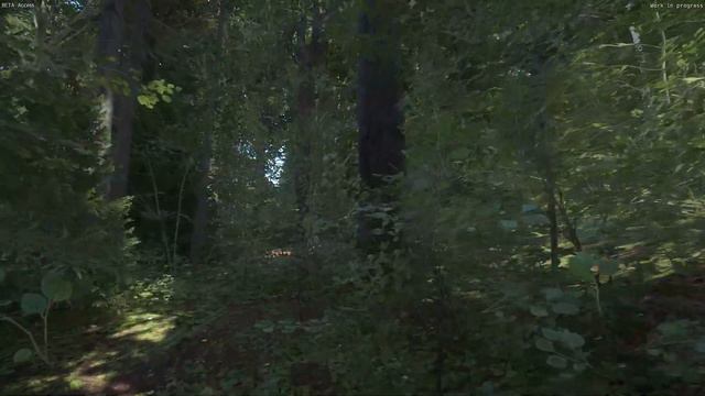 Forest Stroll - Kingdom Come Deliverance beta смотреть онлайн
