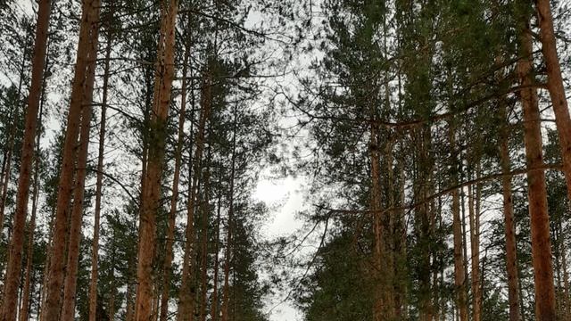 61 гексаграмма. Все линии 61 ворот. Ра Уру Ху. Human design. Дизайн Человека смотреть онлайн