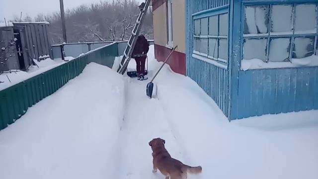 Пока я работаю, вы отдыхайте!!! смотреть онлайн