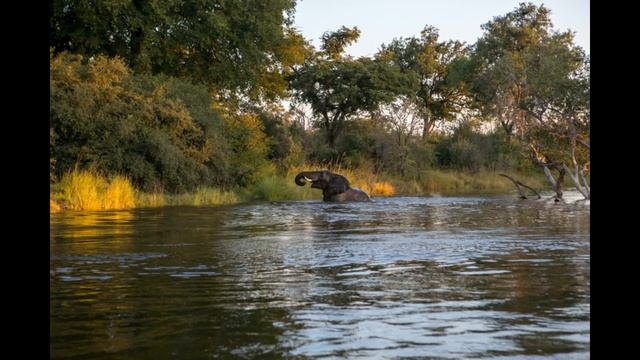 Замбия История смотреть онлайн