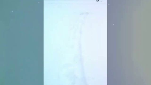 Зимняя рыбалка на карельском перешейке 2. Озеро Петровское смотреть онлайн