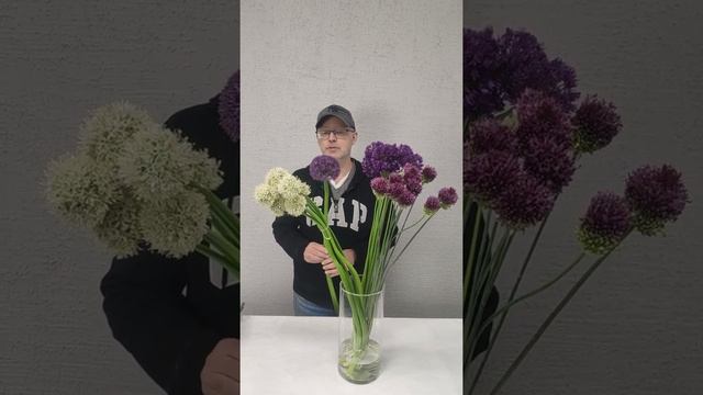 #аллиум в рубрике #азбука_цветов с Павлом Горбенко #лайфхакифлориста #полезныесоветы