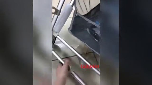 Прогулочная коляска Аimile А-1? смотреть онлайн