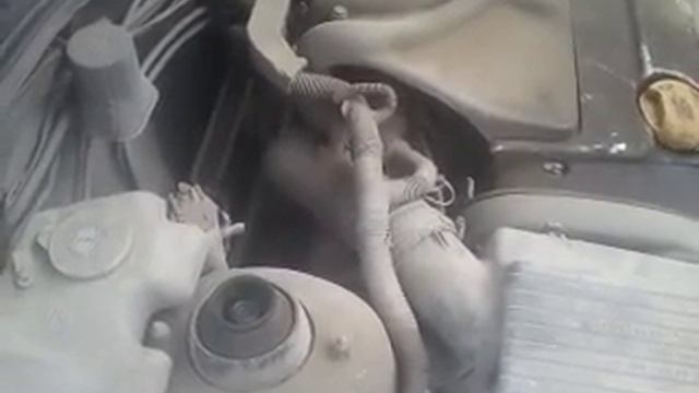 video 2015 11 27 смотреть онлайн