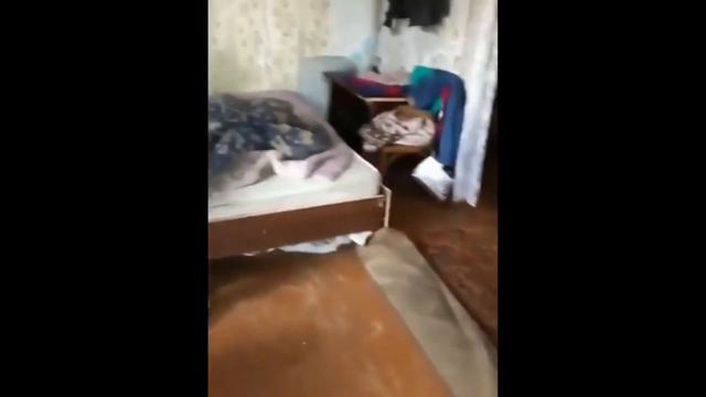 Иришка и Безумный Паша (Марк Пяткинс - Семья) смотреть онлайн