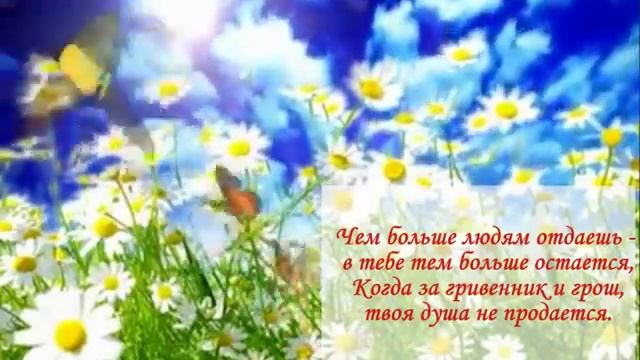 Доброта спасет мир! смотреть онлайн