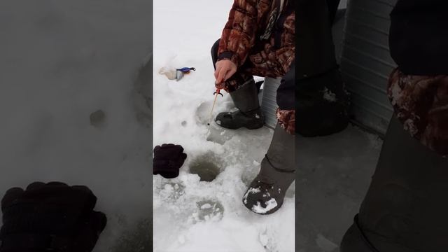 Рыбалка на озере тиберкуле