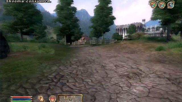 Oblivion: How to Get the Umbra Sword at Level 1 Using Skooma смотреть онлайн