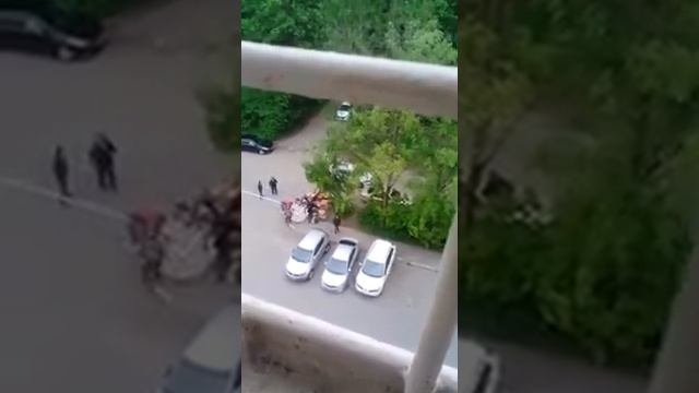 Красный село мигрант Санкт-Петербург смотреть онлайн