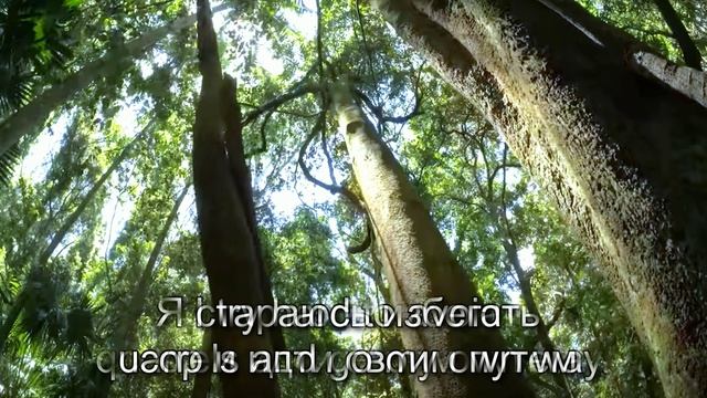 Аффирмации.№207
 Affirmations.№207