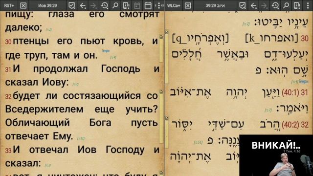 Вникай!.. 045 Иов (2.0) Гл. 39 Как придуманная нами интонация меняет смысл текстов Библии смотреть онлайн