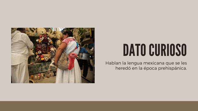 Nahuas | REAcondicionando смотреть онлайн