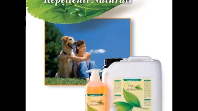 citrus bergamia spray #toelettatura смотреть онлайн