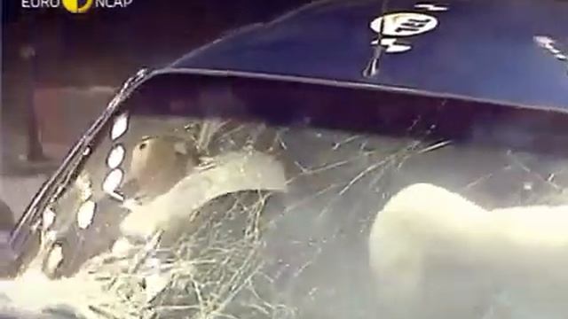 Chevrolet Kalos 2006 E NCAP