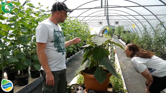 Внимание конкурс!! Отгадай растение и получи ПРИЗ! Organic mix + Garden-zoo.ru смотреть онлайн