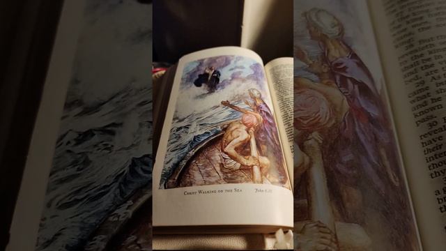 Bible Tree of Life Edition смотреть онлайн