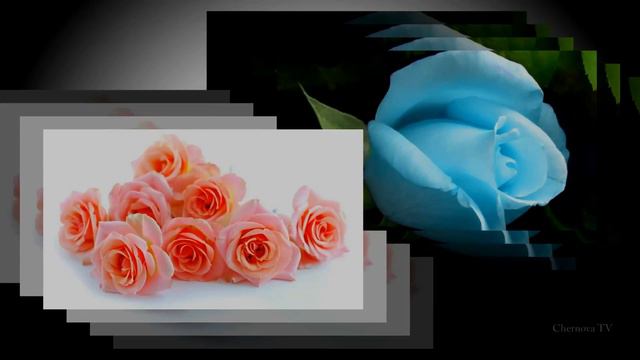 Поздравление. Приму заказы на создание слайд шоу их ваших фотографий смотреть онлайн