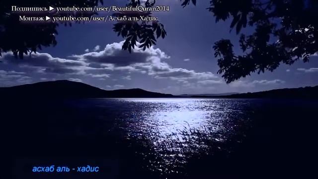 СЛУШАЕМ КАЖДЫЙ НОЧЬЮ ПЕРЕД СНОМ   ЛЕЧИТ ОТ БЕССОННИЦЫ, СМЯГЧАЕТ ДУШУ, ДАЕТ ПОЛНОТУ СПОКОЙСТВИЯ!