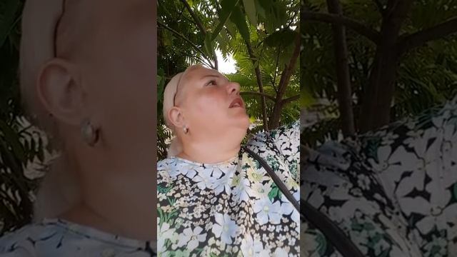 31 июля 2021 г. смотреть онлайн