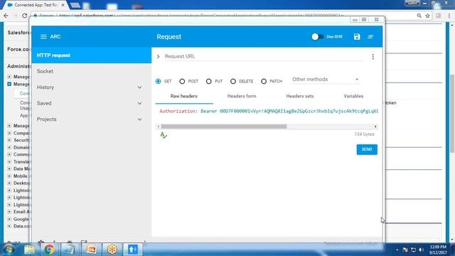 Salesforce REST API IntegrationAdvance REST API Client in Google Chrome смотреть онлайн