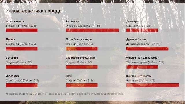 Выбор породы собаки смотреть онлайн