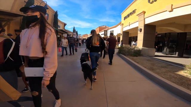 BORDER COLLIE / HUSKY MIX 🐶🦮Off leash Dog Training / Obedience Training 🦮🐶 смотреть онлайн