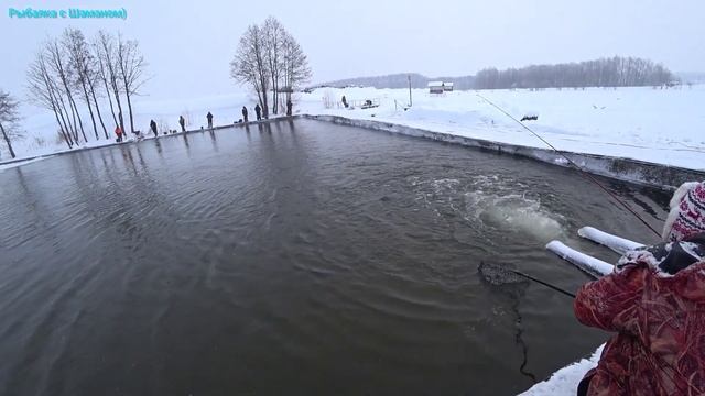 Это что-то, нереальный клёв. 39 кг форели на спиннинг в мороз???? смотреть онлайн