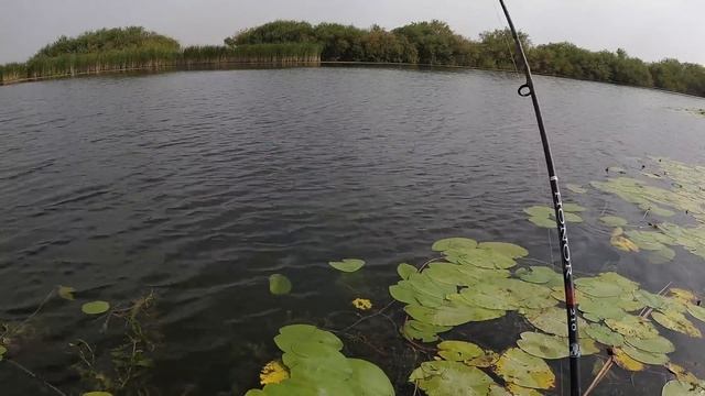 ҚАБЫРҒА ӨЗЕНІ. ҚОСТАНАЙ ОБЛЫСЫ. ТРОФЕЙ ШОРТАН ( ЩУКА ТОРГАЙ КАБЫРГА ). Тургайская щука. смотреть онлайн