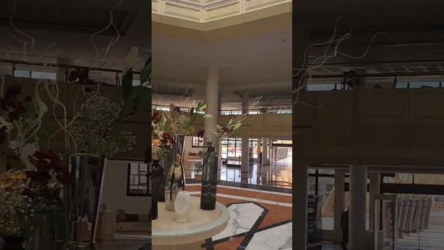 9 января 2024 г.CALIMERA BLEND PARADISE RESORT 5* ОТЕЛЬ В ХУРГАДЕ )! #турция #мерсин #любовь #море смотреть онлайн