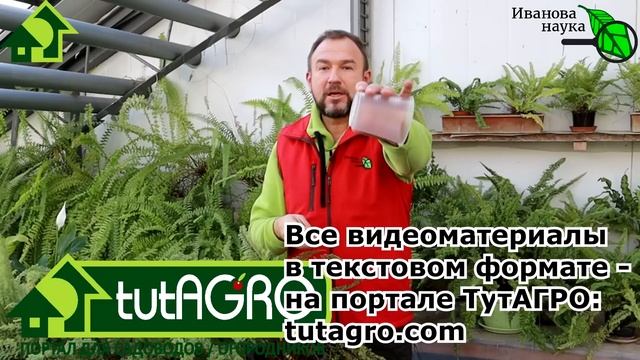 САМЫЙ ПРОСТОЙ и БЫСТРЫЙ СПОСОБ ПРОДЫРЯВИТЬ СТАКАНЫ ДЛЯ РАССАДЫ. Емкости для рассады - это важно! смотреть онлайн