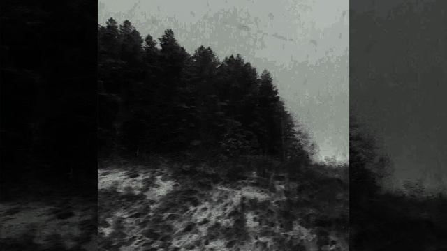 Sorry about my face - сегодня ночь самобичевания смотреть онлайн