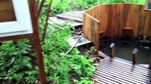 Купель на Роднике 01.07.15