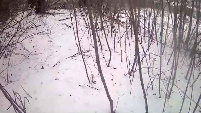 Здание детства разрушено и Черная Калитва зимой. смотреть онлайн