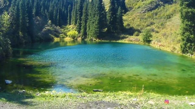 Озеро Кайынды (Каинды) лес под водой,озеро Кольсай. Саты. Путешествия. Kazakhstan. Full HD 1080p60.