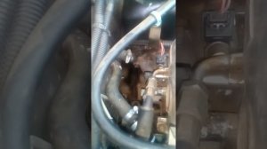 Подогреватель тосола (двигателя) ЛУНФЕЙ на НИВУ ШЕВРОЛЕТ.