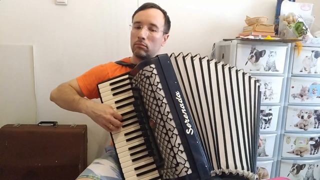Ленинград - Покаянная ("Беглов my love") (на аккордеоне, без слов) смотреть онлайн